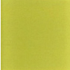 Klematis